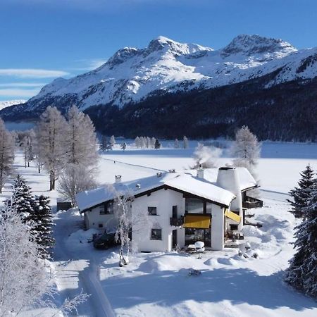 Chesa Suot Ovas Appartement Sils Maria Buitenkant foto