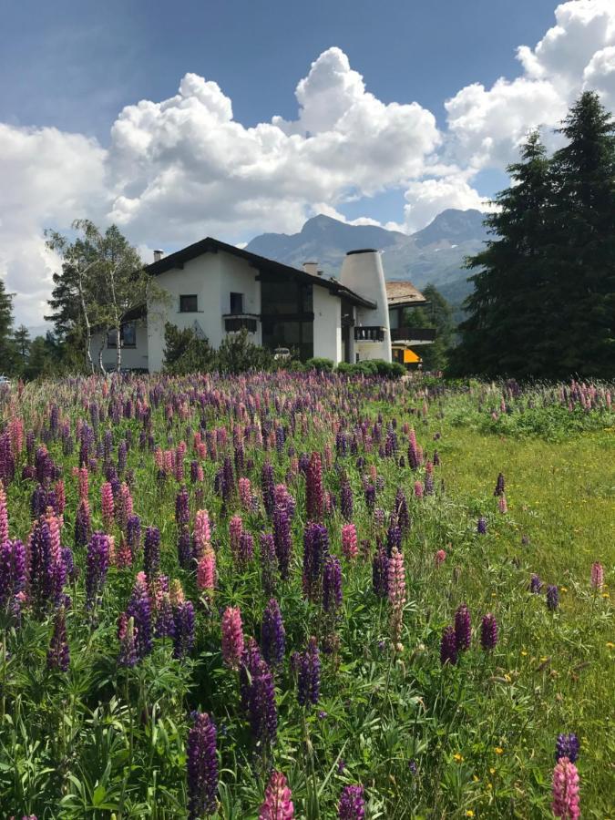 Chesa Suot Ovas Appartement Sils Maria Buitenkant foto