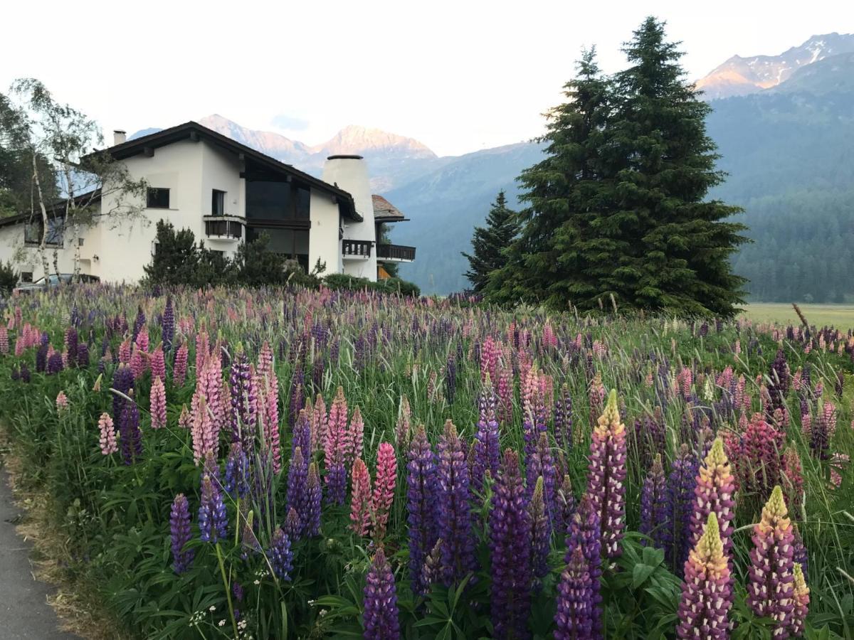 Chesa Suot Ovas Appartement Sils Maria Buitenkant foto