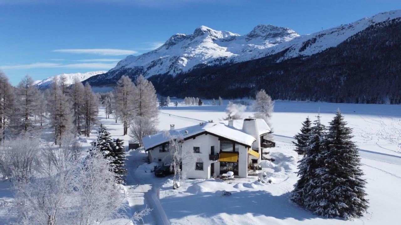Chesa Suot Ovas Appartement Sils Maria Buitenkant foto