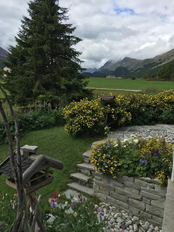 Chesa Suot Ovas Appartement Sils Maria Kamer foto