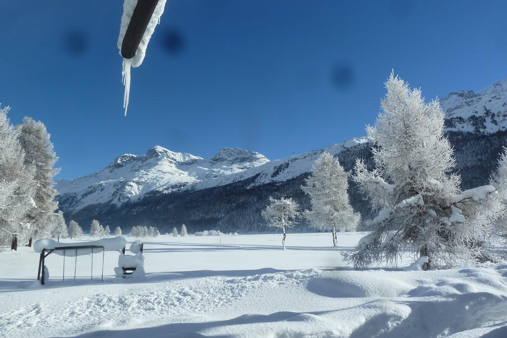 Chesa Suot Ovas Appartement Sils Maria Buitenkant foto