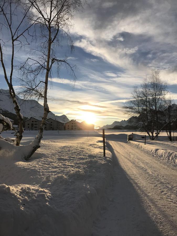 Chesa Suot Ovas Appartement Sils Maria Buitenkant foto