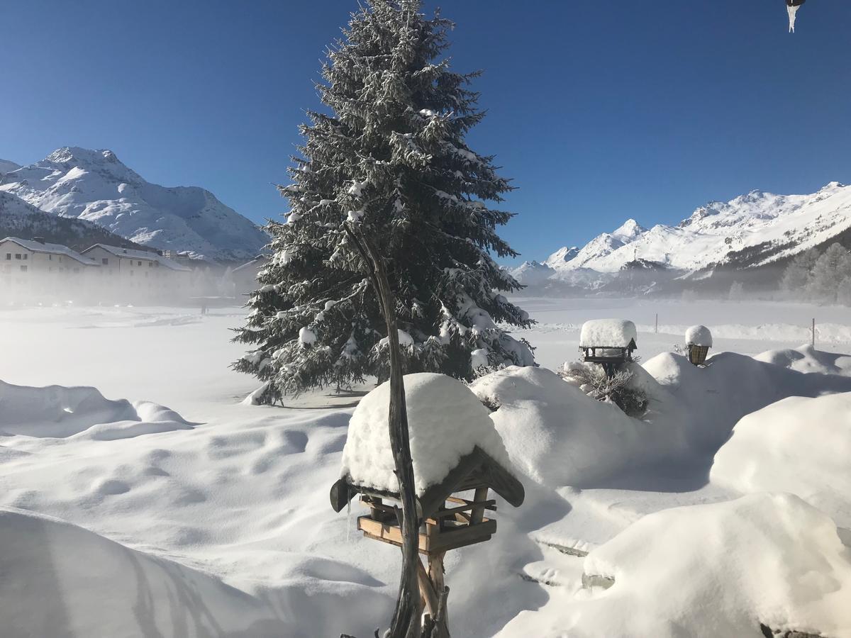 Chesa Suot Ovas Appartement Sils Maria Buitenkant foto
